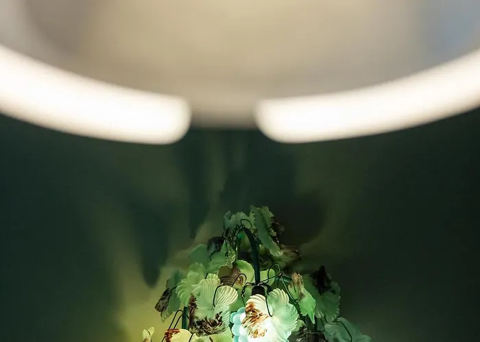 Molari Luxury - Apartment Riccione